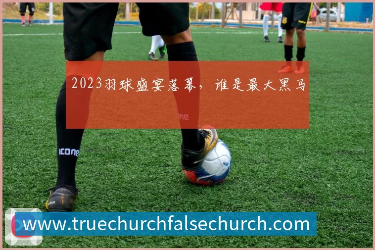 2023羽球盛宴落幕，谁是最大黑马