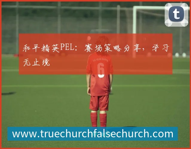 和平精英PEL：赛场策略分享，学习无止境